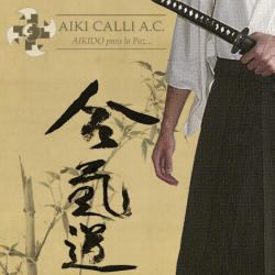 poster aikido